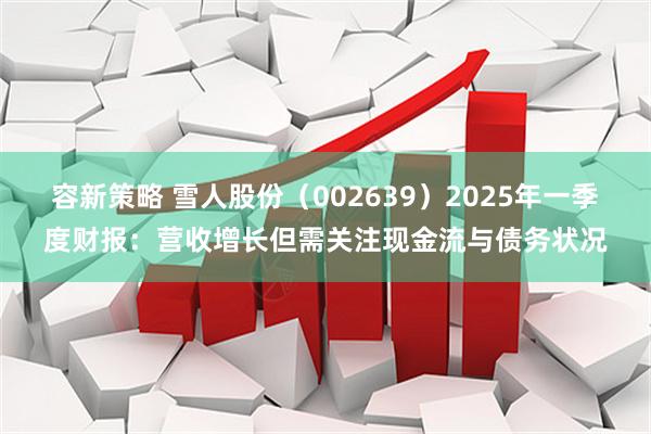 容新策略 雪人股份（002639）2025年一季度财报：营收增长但需关注现金流与债务状况