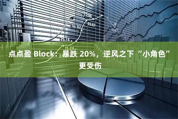 点点盈 Block：暴跌 20%，逆风之下 “小角色” 更受伤