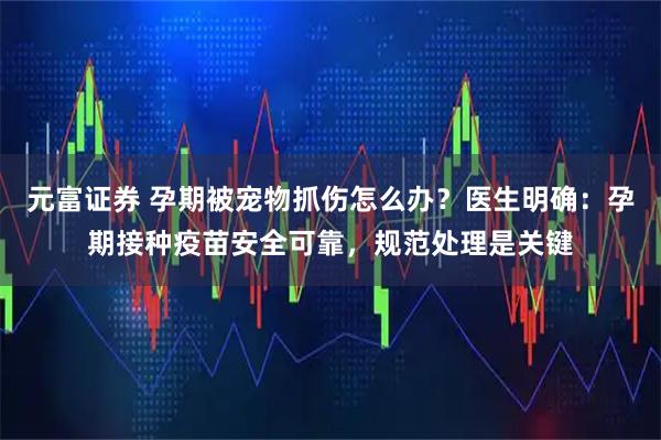 元富证券 孕期被宠物抓伤怎么办？医生明确：孕期接种疫苗安全可靠，规范处理是关键