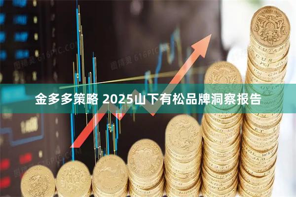 金多多策略 2025山下有松品牌洞察报告