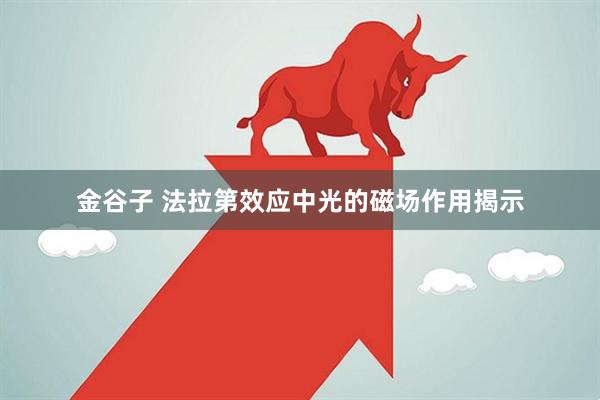 金谷子 法拉第效应中光的磁场作用揭示